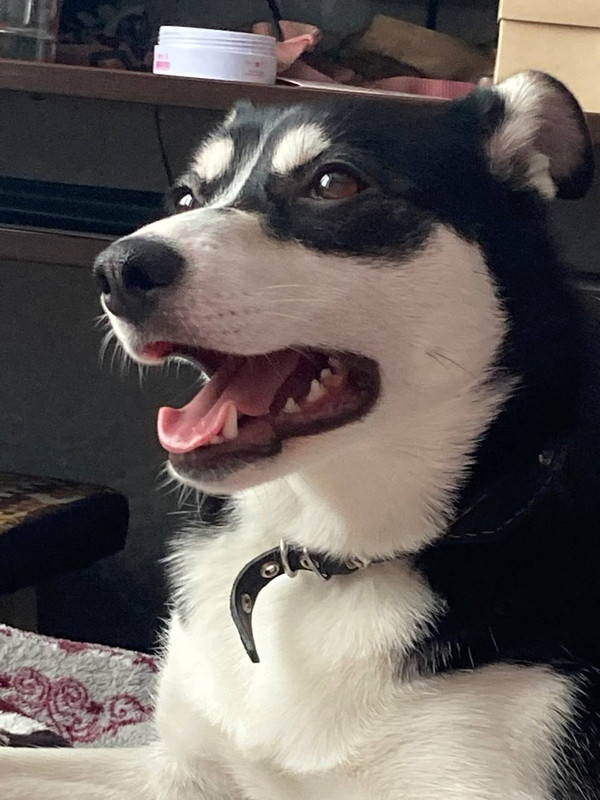 090CC5B7-4661-4110-AE32-53043D8D501E