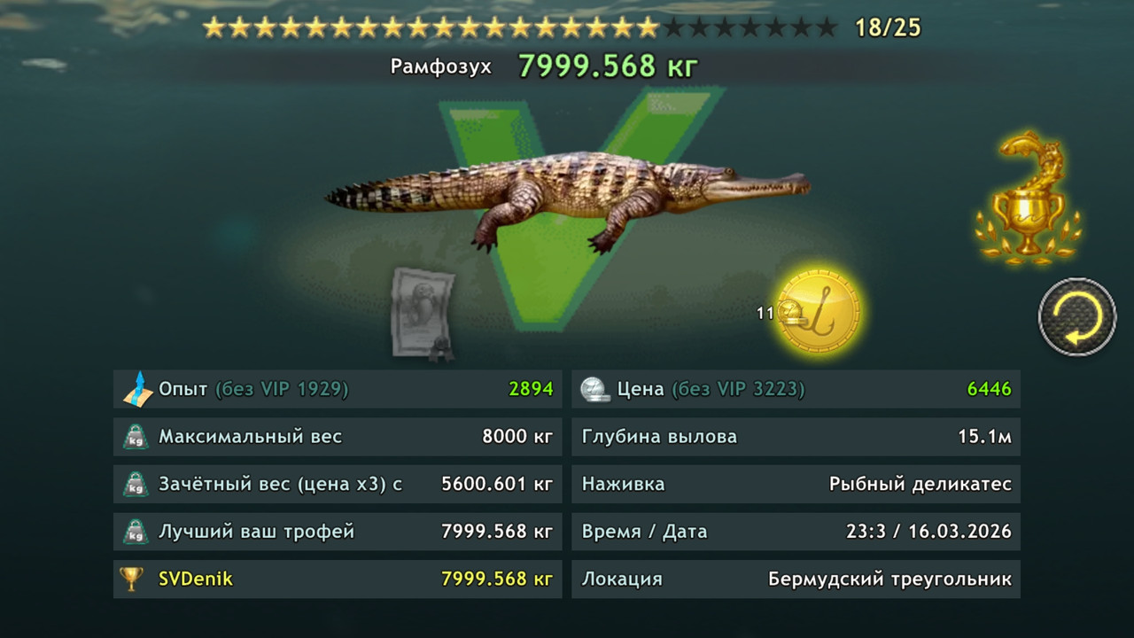Screenshot-20260316-230410.jpg