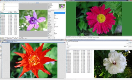 WildBit Viewer 6.8