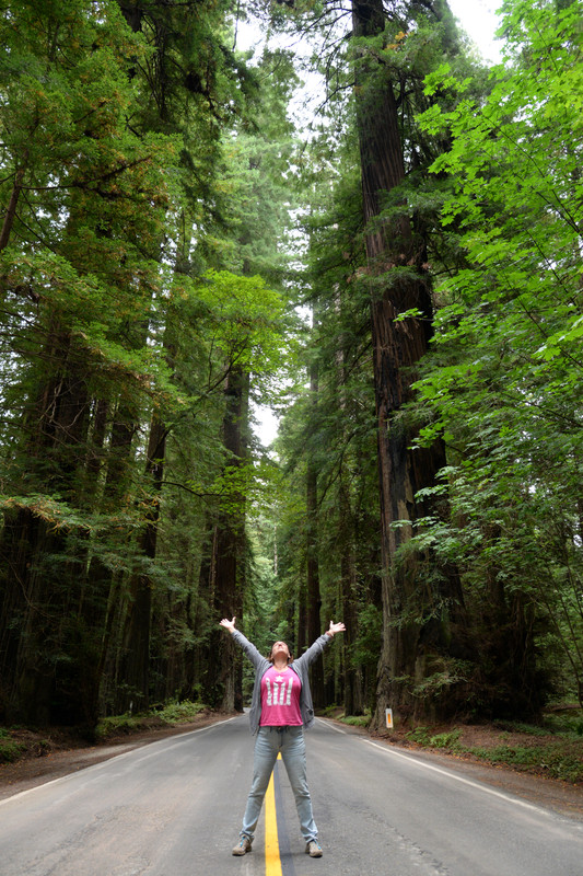 Árboles gigantes, fuegos y volcanes extintos - Oregon y California norte (2018) - Blogs de USA - Rogue River y costa norte de California (28)