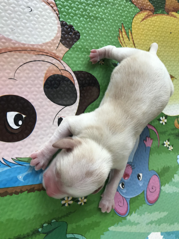 6A59253C-062D-42A9-943E-E04857441B3F