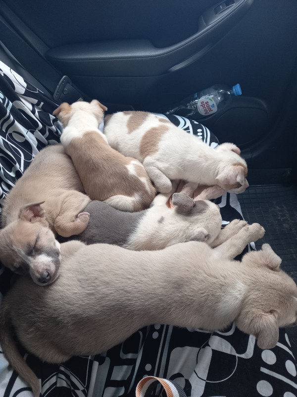 AA4DB030-836E-40C6-BB7A-037D20B441C4