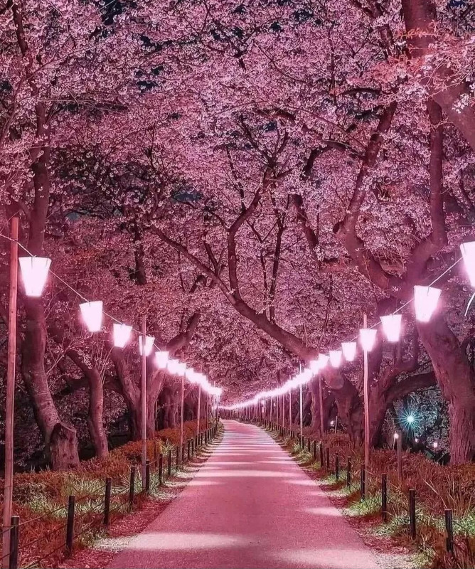 Screenshot_20240420_214431_Threads