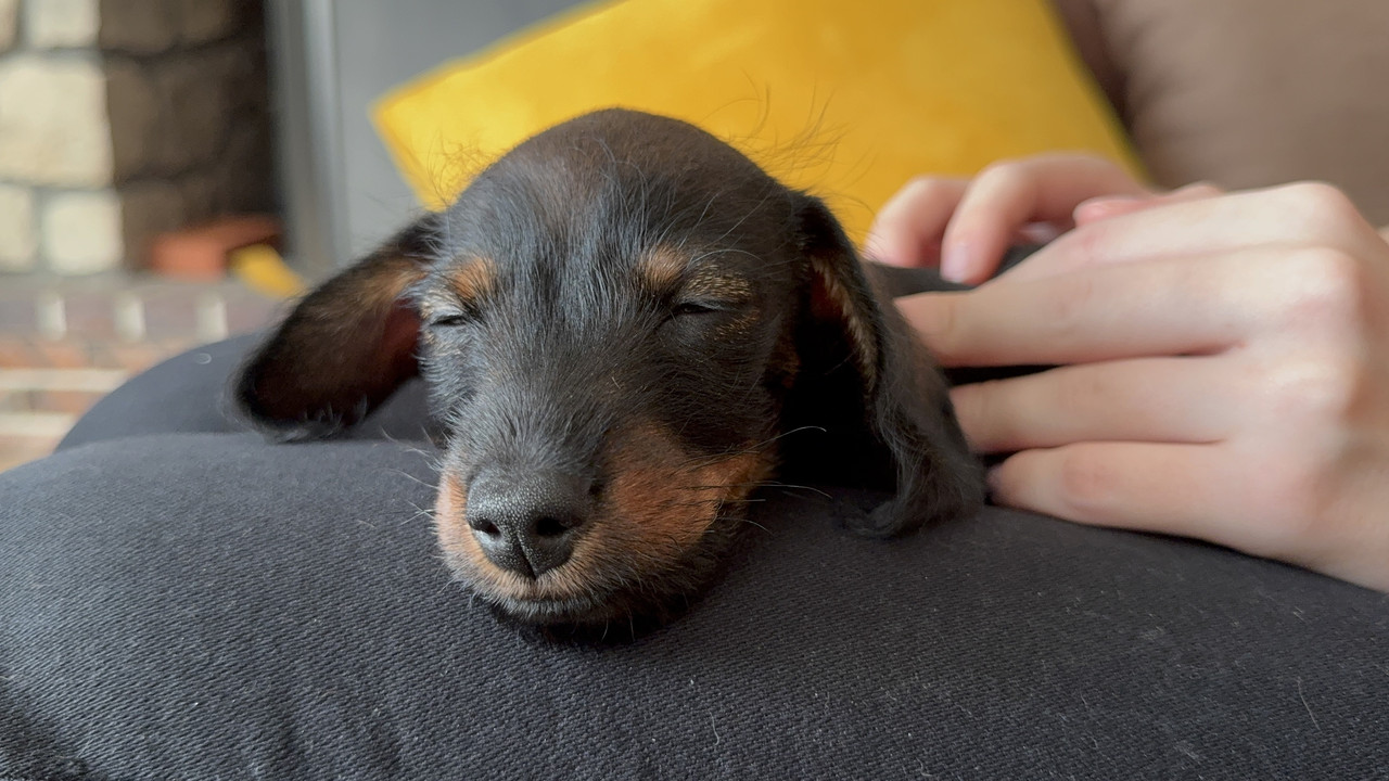 [Image: 747-F9439-73-A6-46-E8-99-B6-EBE79-D0-A6-E3-A.jpg]