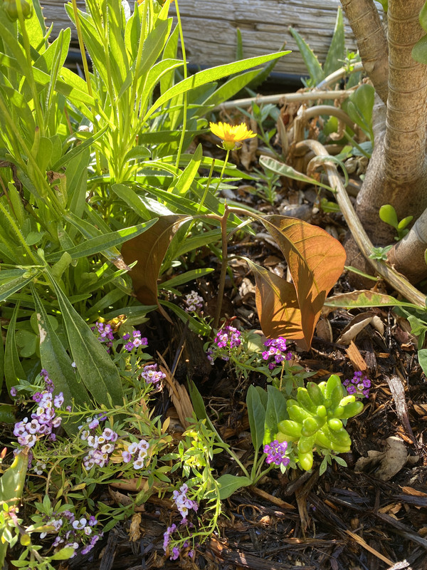 6925F941-2C9D-495F-974C-5F492070C431