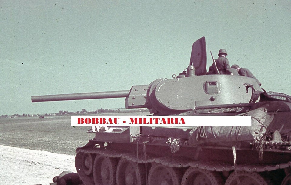 57504131_799273153774169_7776357929464102912_n (1)