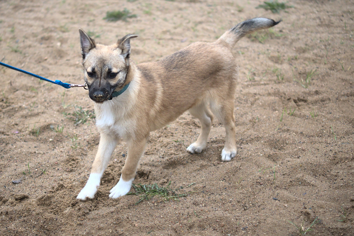 16BBE8F2-65F0-474C-9F95-67D2EF792DF0