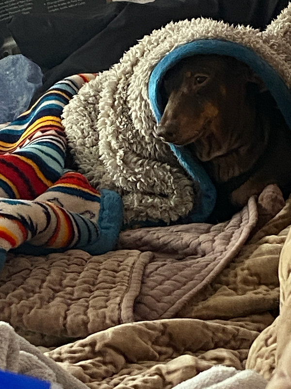 [Image: IMG-20240502-080928.jpg]