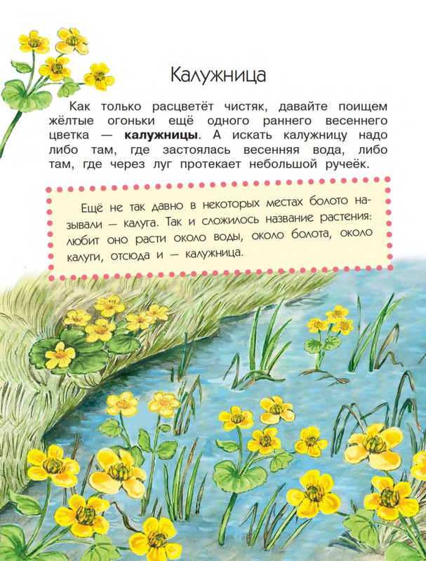 Onegov-Anatolij-Pochemu-kukushka-slozki-lot-page-0007