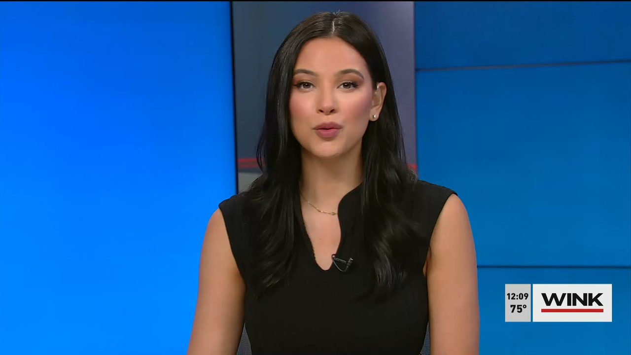 01.09 - 17.00.00 - The WINK Noon News  ᴺᵉʷ. Midday news update..ts_snapshot_16.10.728