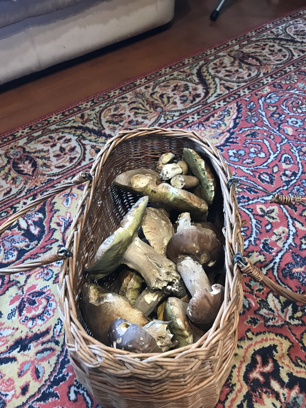 2B9FF244-621A-40D3-B7F9-B57D5AFD92BA