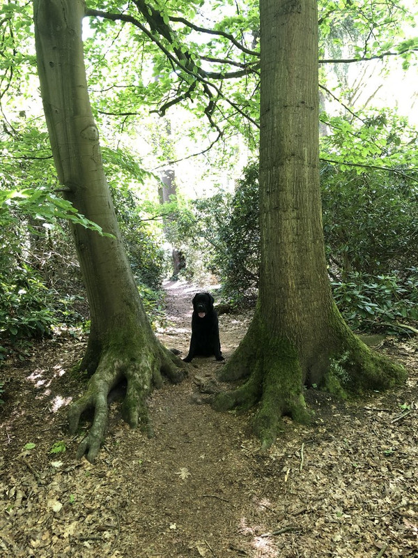 717C4EC6-0247-4904-9964-421B5886714A