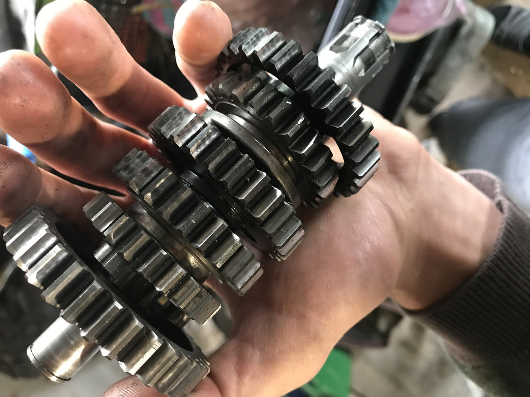 E82B4555-883D-4E2B-90BF-FD2769EF4164