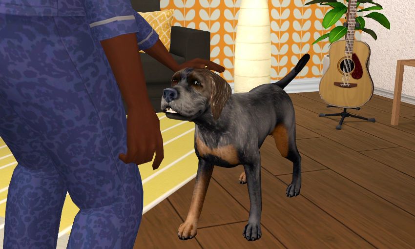Sims2-EP9-2021-03-07-09-29-08-64