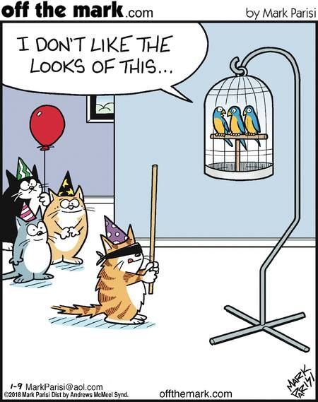 Cat Humor #8