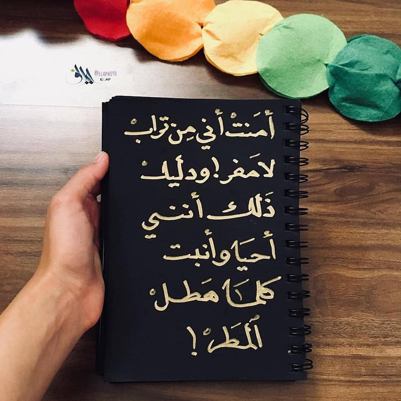 ���� ���� ������ �� ���� ������