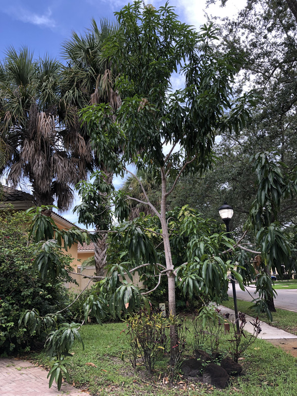 13A69DFD-4500-4876-84E3-1DFBB763FA64