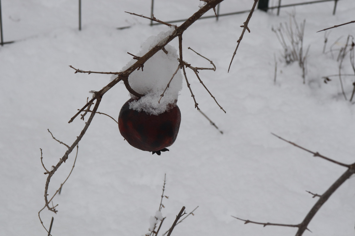 IMG-0475.jpg