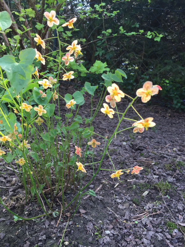 05D0C25A-D51A-4BFC-BB07-FB4E2F763554