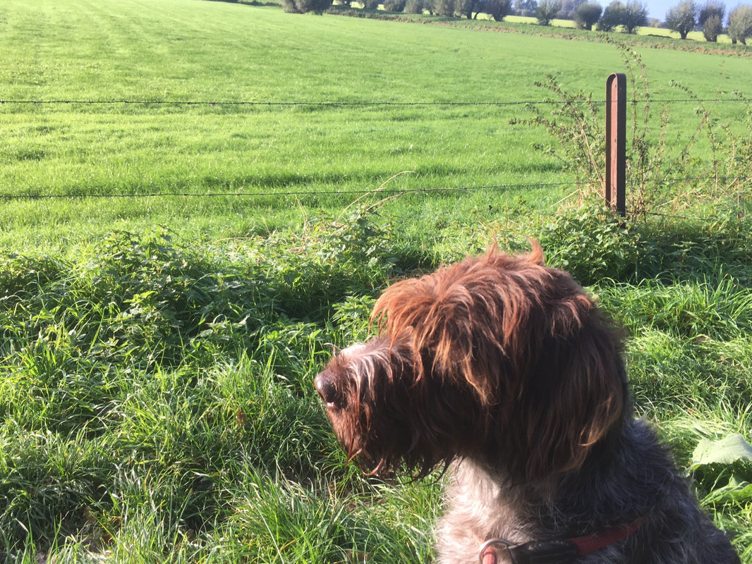 2023-22-10 Kop Claire IMG_2802 (002)