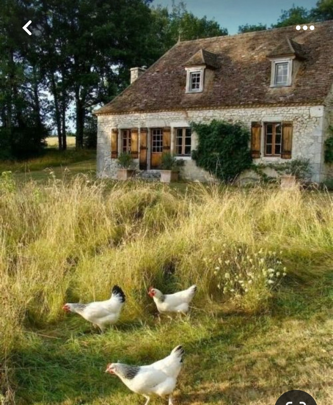 Screenshot_20240330_231627_Pinterest