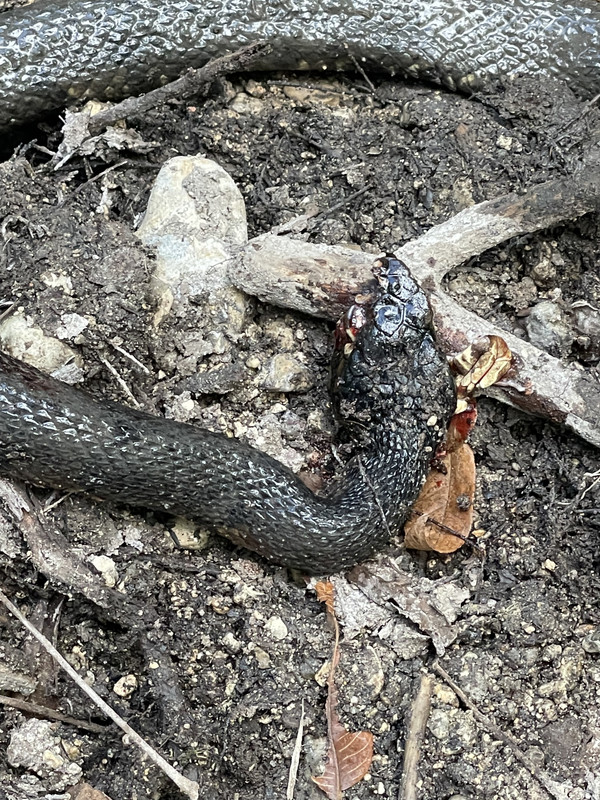 5005B2B8-590B-4136-BDF6-943F095EEF18