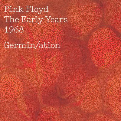 Pink Floyd - 1968 Germin/ation (cd) : Target