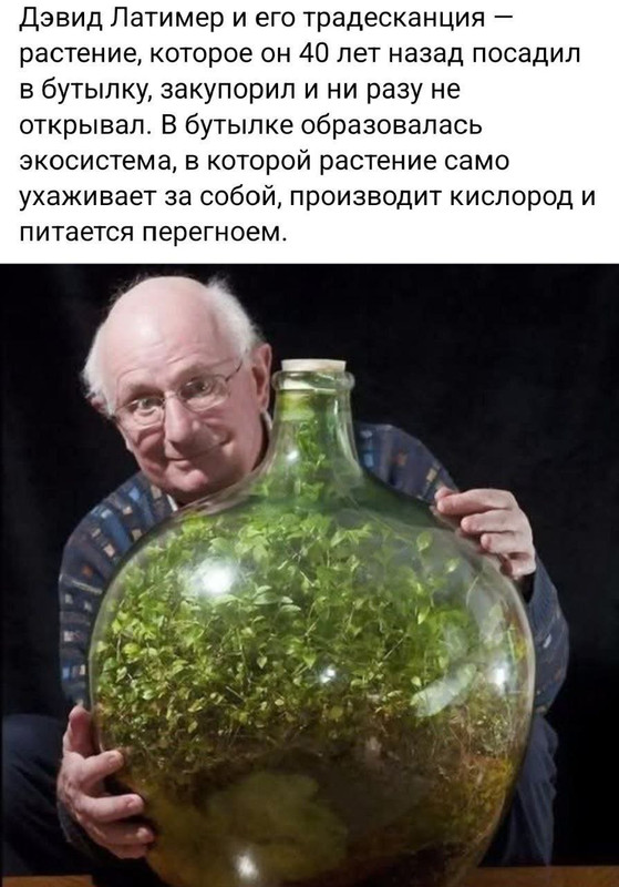 [Изображение: photo-2025-07-26-17-08-12.jpg]