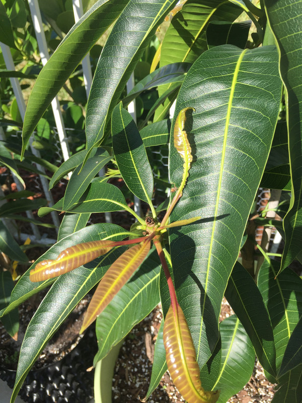 4A0DC2AB-7227-4F6A-8F29-6CED0C25BC5C