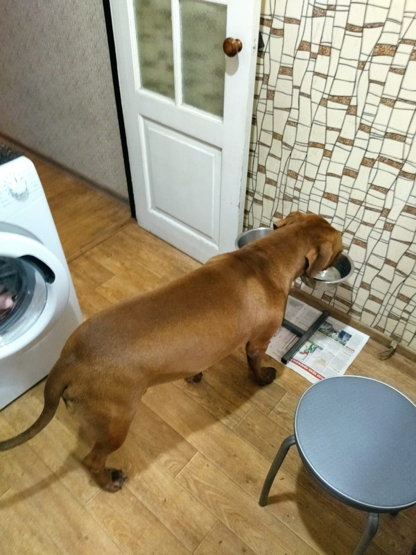 DD8C3DBE-4AD6-4283-A8E5-D90C2236BC43