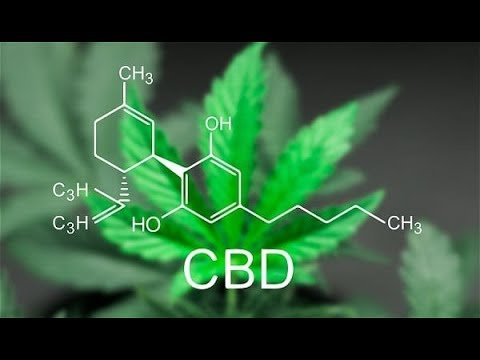 Konopí – zázračný lék? / Cannabis, un super médicament? / CZ