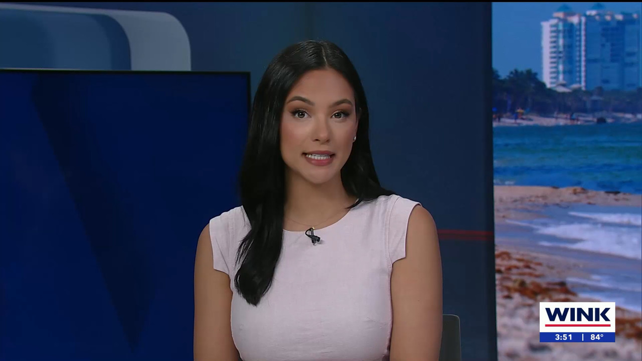 03.18 - 19.00.01 - WINK News at 3pm.   Category  News.      EPG Credi....ts_snapshot_52.02.755