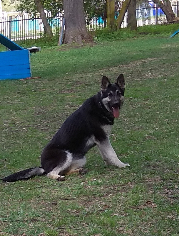 5VGIRij6LzqkOir6vnSOv4IL8Iz_foXNd9y17kG9iZC2hl44muXkHGEkd2AYXiopfXqHvDPX8ipLKKaVpN9wxK5s