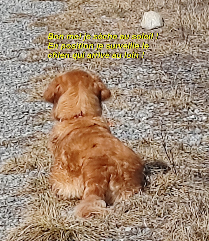 IMG-20260222-122559bb