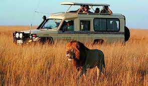 Avestruz muerde muerde la mano de una niña y se vuelve viral en TikTok