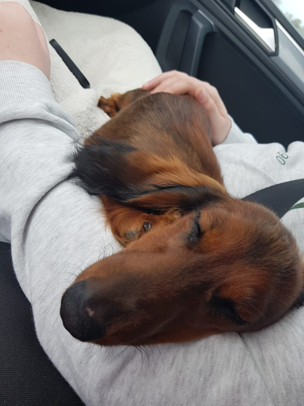 [Image: IMG-20240310-WA0000.jpg]