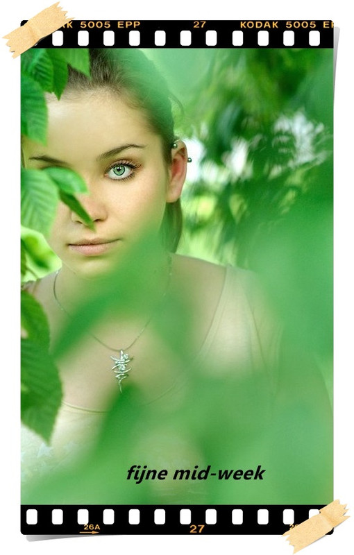 An den Beitrag angehängtes Bild: https://i.postimg.cc/c4GGy641/ny1v0epkl28.jpg