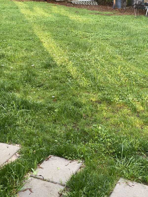 B44454C4-3BFB-4F04-8F11-2E3850A72543