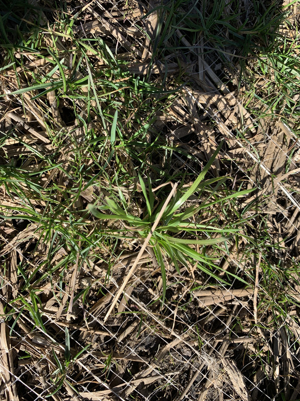 D1F7B411-C37A-41AE-9699-3A4A29DE4304