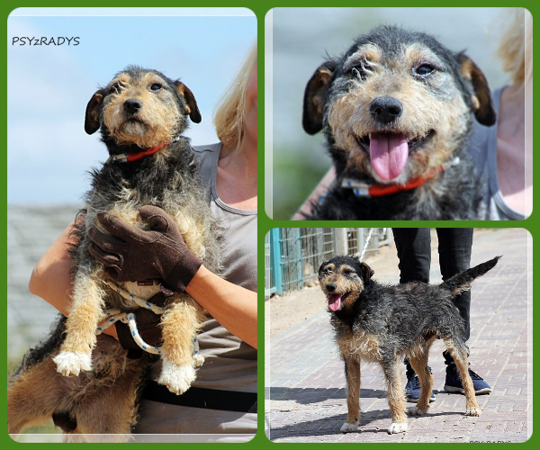 BeFunky-collage (11)