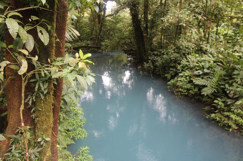 DIA 10: RIO CELESTE - DE TORTUGAS Y PEREZOSOS. COSTA RICA 2019 (33)