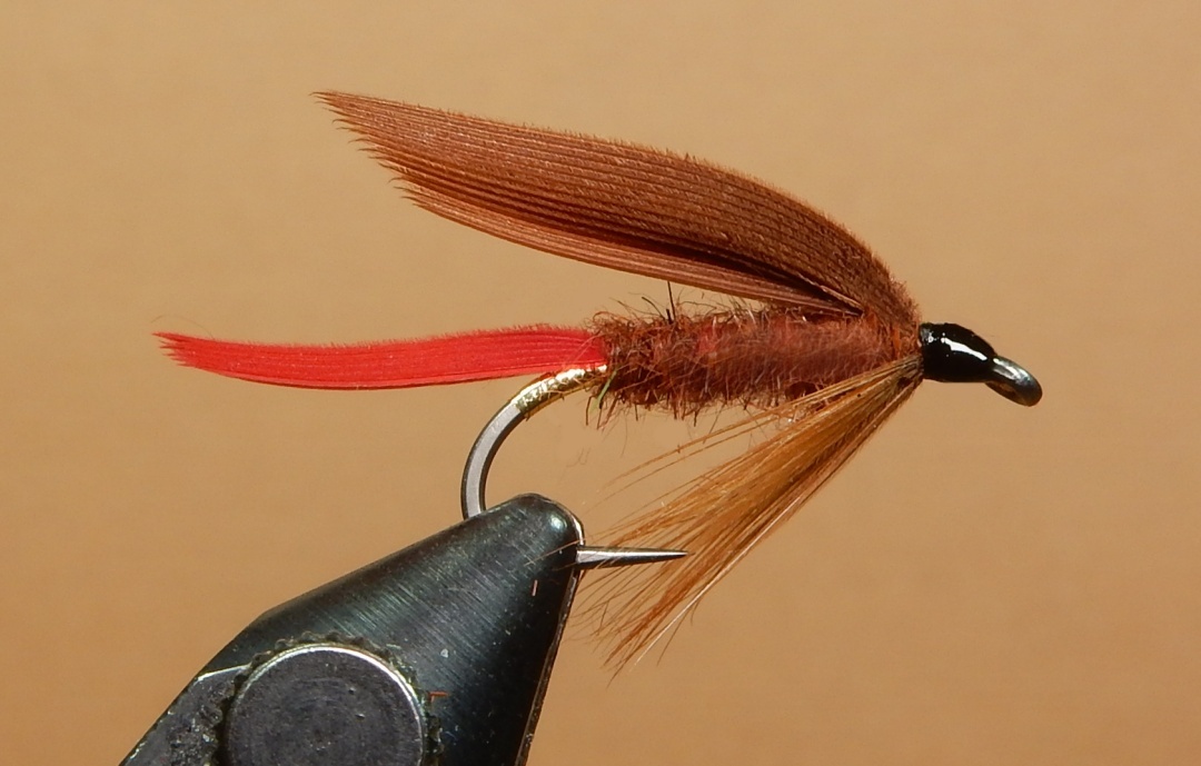Fiery-Brown-1080.jpg