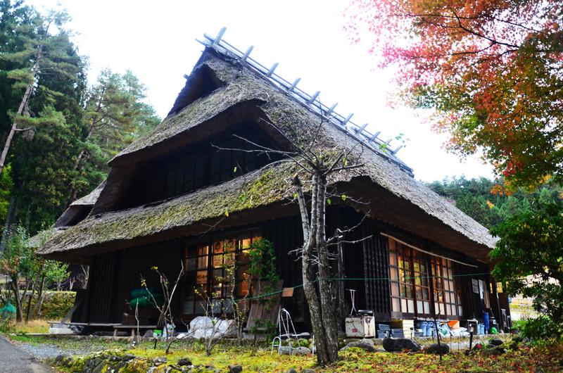 Saiko Iyashi no Sato Nenba-16-11-2024 - Japón y sus Pueblos-2024 (14)