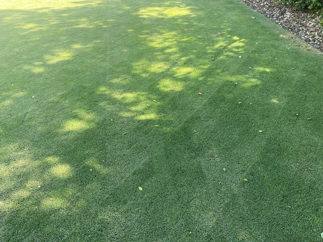 15A112E8-1D09-4FF3-B2C7-1CA2D168DC3C