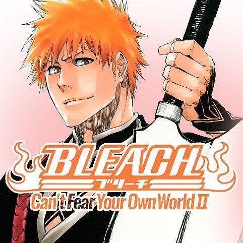 Bleach Light Novel