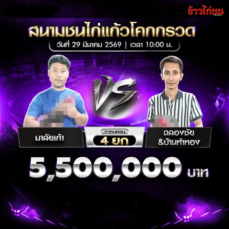 มาลัยเก้า พบ ฉลองชัย&บ้านทำทอง โปรแกรมไก่ชน สนามชนไก่แก้วโคกกรวด 29 มีนาคม 2569