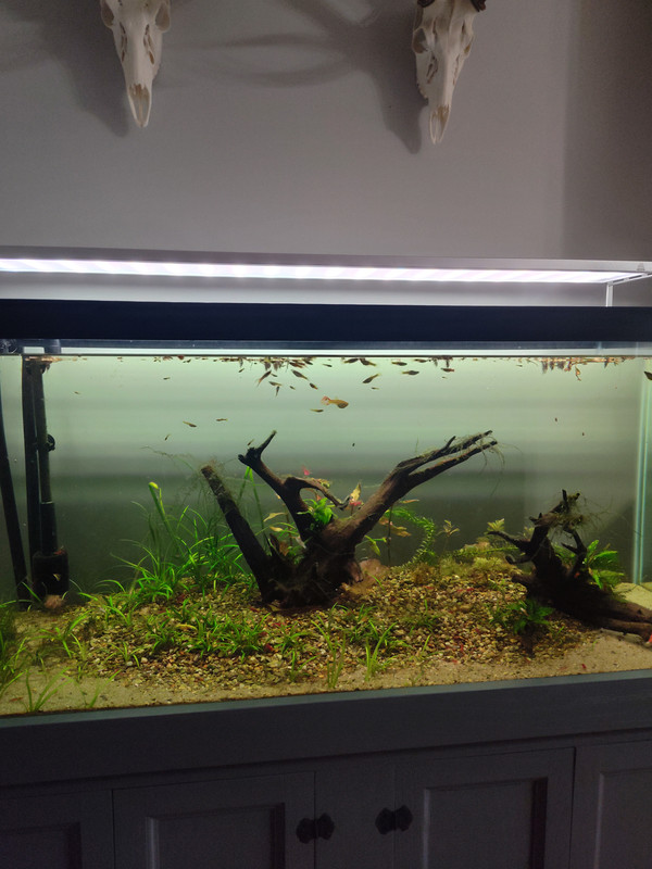 IMG_20250511_111858016_HDR