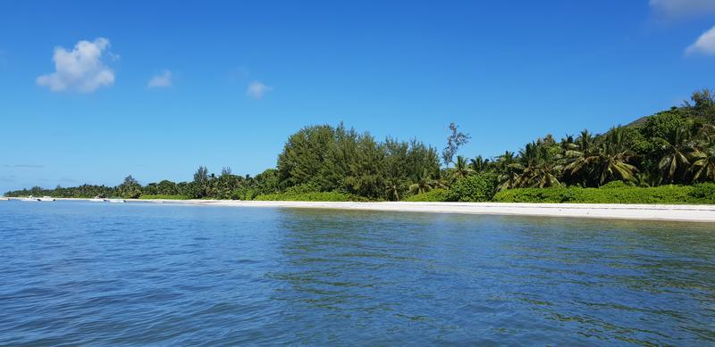 Seychelles-2ª parte de nuestra luna de miel. Se puede pedir más? - Blogs de Seychelles - DÍA 3:  PRASLIN – CURIEUSE ISLAND – SAINT PIERRE (10)