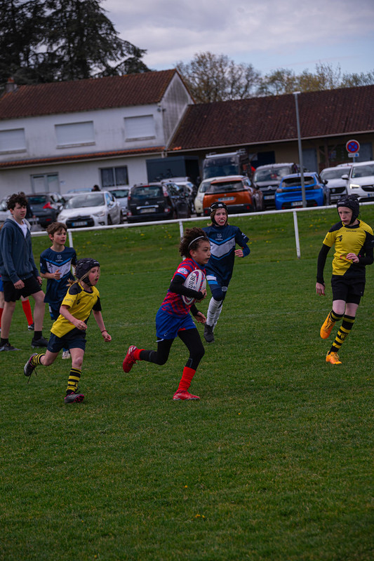 tournoi-de-latlantique-2026-adonis-griffon-220-55181428708-l