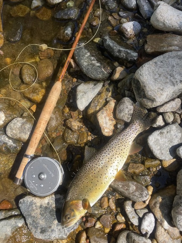 24B4B749-4342-4BE6-9EBA-059048A9BEF7